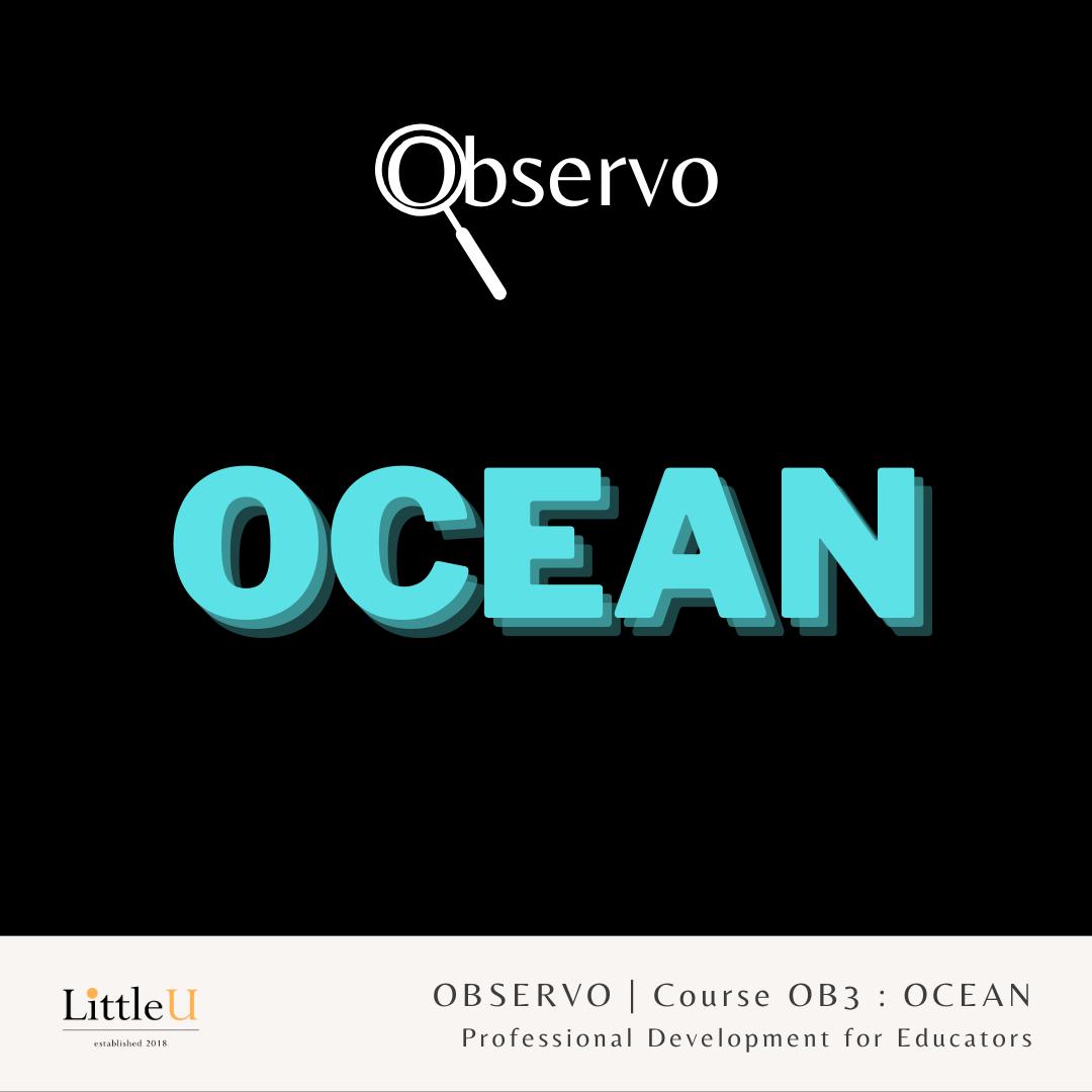 OB3 : OCEAN by Observo